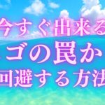 【今すぐ出来る】エゴの罠から回避する方法［ハワイ・スピリチュアル・hawaii spiritual］