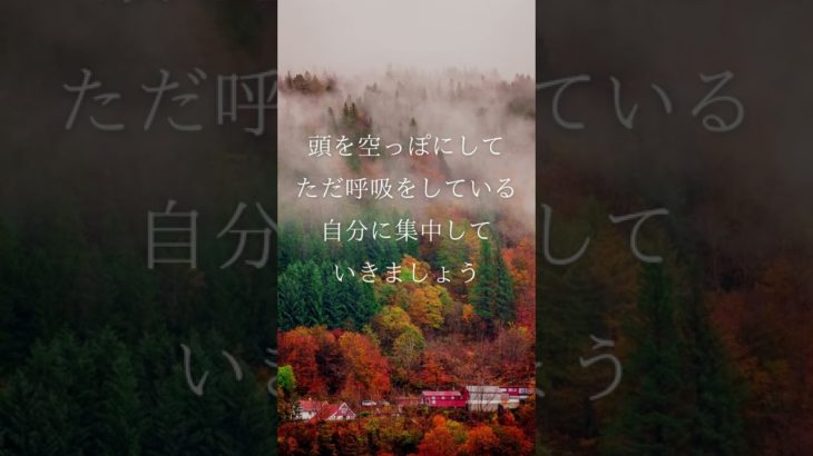 1分で心を整えるマインドフルネス瞑想 今ここ 呼吸法 #shorts
