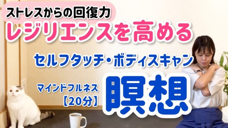 レジリエンスを高めストレスに強くなる瞑想|マインドフルネス・ボディスキャン|10/15瞑想塾【後半】