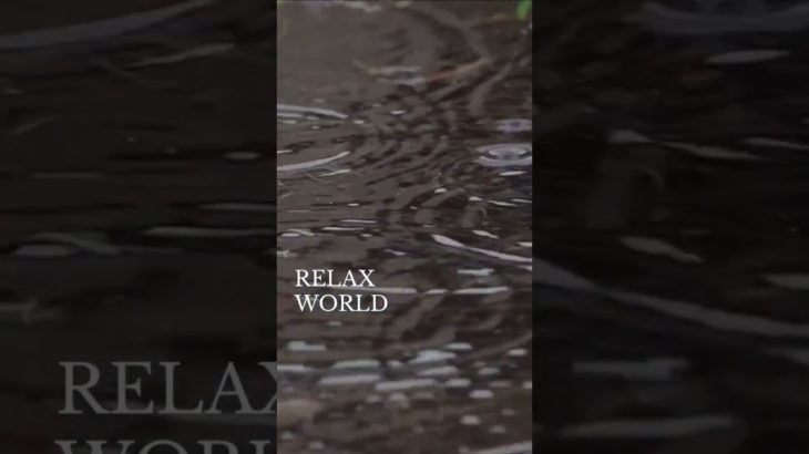 お昼休みの15秒瞑想　#深呼吸 #瞑想 #癒し動画 #加藤先生 #shorts