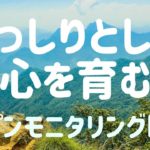 【オープンモニタリング2022】今に心を広げる マインドフルネス瞑想