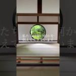 【20秒頭のデットクス🍂】京都の寺院で【簡単マインドフルネス】【ストレスケア】Mindfulness Shorts Video/Stress Management/Kyoto