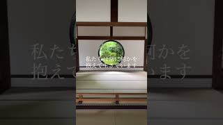 【20秒頭のデットクス🍂】京都の寺院で【簡単マインドフルネス】【ストレスケア】Mindfulness Shorts Video/Stress Management/Kyoto