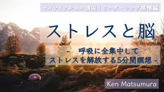 ストレスと脳・扁桃体 ｜呼吸に全集中してストレスを解放する5分間瞑想 #マインドフルネス #扁桃体 #リラックス