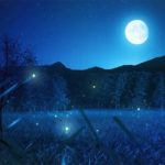 【528Hz / 睡眠入門】DNA修復ソルフェジオ周波数、静かな瞑想と癒しの音楽。睡眠用BGM、睡眠用音楽、睡眠用音楽、睡眠導入部、就寝時に聞く音楽