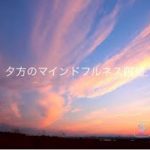 9.夕方のマインドフルネス瞑想（静座瞑想）