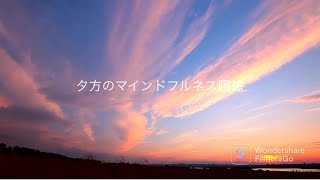 9.夕方のマインドフルネス瞑想（静座瞑想）