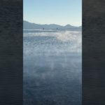 朝のけあらし｜ASMR｜瞑想｜自然音｜湖｜癒し｜shorts ｜リラックス｜study｜relaxation｜healing｜meditation｜study｜yoga｜ヨガ