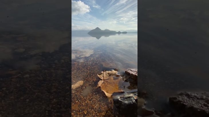 湖の落ち葉のゆらぎ｜ASMR｜瞑想｜shorts｜自然音｜waves｜癒し｜リラックス｜sunrise｜relaxation｜healing｜meditation｜波の音｜yoga｜ヨガ｜絶景｜環境音