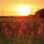 【泣けるサントラ】美しく悲しいピアノ音楽【作業用・睡眠用BGM】癒しの音楽 – ちょっと切なくて、時々かなしい作業用BGM　再