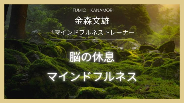 心のミニミニ講座Vlo.2　マインドフルネスの生かし方「自動思考と自動操縦」