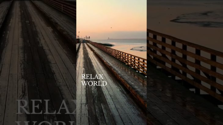 心が疲れたときには…#深呼吸 #瞑想 #癒し動画 #加藤先生 #shorts