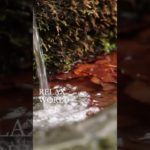 ゆっくりね、楽にね！#秋動画 #深呼吸 #瞑想 #癒し動画 #加藤先生 #shorts