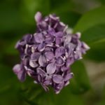 ウェルビーイング