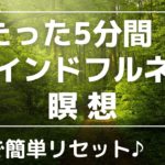 呼吸は命の源♪５分間✨マインドフルネス瞑想　#マインドフルネス#呼吸#瞑想