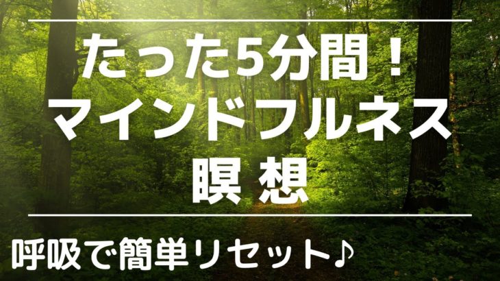 呼吸は命の源♪５分間✨マインドフルネス瞑想　#マインドフルネス#呼吸#瞑想