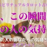 [スピリチュアルタロット占い]🔮今、この瞬間のあの人の気持ち🌠(あなたへの気持ち🌹）⚠️風の音が入って聞きづらいです😞💦