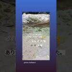 ぐっすり眠る前に○○○が大切☀#健康 #瞑想 #スピリチュアル #癒し