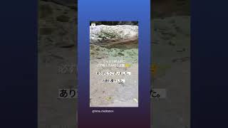 ぐっすり眠る前に○○○が大切☀#健康 #瞑想 #スピリチュアル #癒し