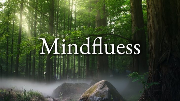 マインドフルネス・今を感じる