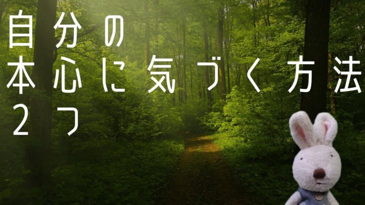 自分の本心に気づく方法 2つ #shorts #ショート #スピリチュアル #引き寄せ #潜在意識 #自分軸