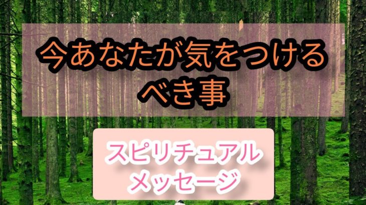 今あなたが気をつけるべき事⚠✨#スピリチュアル#カード霊視#オラクルカード#タロットカード#占い#ラブリーm