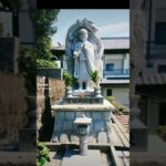 龍神様が見えた方は、金運爆上がり✨#スピリチュアル #波動 #パワースポット #神社仏閣 #tiktok #shorts #金運 #開運