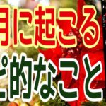 １２月に起こる😳スピリチュアル的な事とは？びっくりするほど当たる😳オラクルカーリーディング✨占い✨３択✨マンスリーリーディング✨