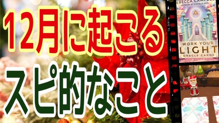 １２月に起こる😳スピリチュアル的な事とは？びっくりするほど当たる😳オラクルカーリーディング✨占い✨３択✨マンスリーリーディング✨