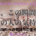 [スピリチュアルタロット占い]🔮今、この瞬間のあの人の気持ち📄（あの人の貴方への気持ちの変化⏳️時系列📌）