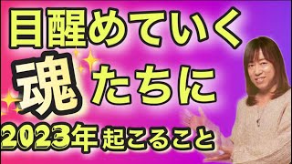 【並木良和さん】2023年 スムーズに次元上昇するためのポイント &やっておくこと 【ワークショップ& オンラインサロン】
