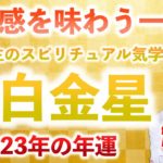 【九星気学】竜庵先生のスピリチュアル気学　2023 六白金星の年運