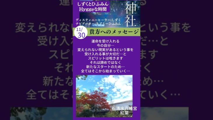 【石清水八幡宮　紅葉】#Short #神社　#スピリチュアル　#エネルギー #感謝