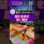 【貴方へのメッセージ】#Short #神社　#スピリチュアル　#エネルギー #感謝　#伊和志津神社　#花手水