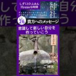 【貴方へのメッセージ】#Short #神社　#スピリチュアル　#エネルギー #感謝