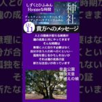 【貴方へのメッセージ】#Short #神社　#スピリチュアル　#エネルギー #感謝