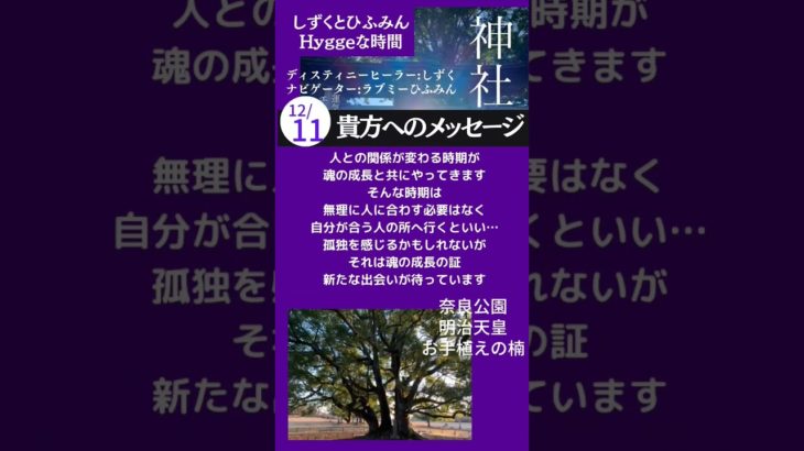 【貴方へのメッセージ】#Short #神社　#スピリチュアル　#エネルギー #感謝