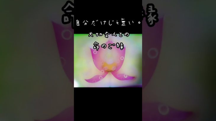 #斎藤一人 #無限の豊かさ #スピリチュアル #白光カウンセラー #まるかんのお店 #福岡 #オアシスヘブン