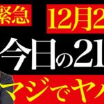 【クリスマスイブ×一粒万倍日】あなたの人生が大きく変わる最高の聖夜！この日はコレをして幸運にまみれて下さい。