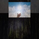 今年最後のカードからのメッセージ#スピリチュアル#タロットカード