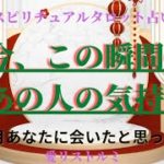 [スピリチュアルタロット占い]🔮 今、この瞬間のあの人の気持ち🎯⛩️💠🎍(あの人はお正月あなたに会いたいと思って❔そしていつ会える❔✈️🚙🏰）#タロット#正月#会いたい