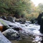 10分瞑想　高千穂　天安河原　#高千穂　#天安河原　#瞑想　#癒し　#川　#リラックス  #無　#祈り　#自然