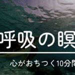 【初心者向け10分間の呼吸瞑想】癒しのマインドフルネス（ストレス軽減・集中力アップ）