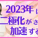 2023年は二極化がさらに加速する 斎名智子の女神ライブ　日本の 瞑想家 大人の スピリチュアル 心理学