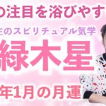 【九星気学】竜庵先生のスピリチュアル気学 四緑木星2023 1月の月運