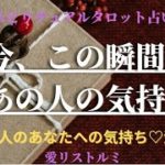 [スピリチュアルタロット占い]🔮2️⃣0️⃣2️⃣3️⃣ 今、この瞬間のあの人の気持ち 🌹(あの人のあなたへの気持ち深掘り💜💜💜)#占い#2023#気持ち