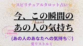 [スピリチュアルタロット占い]🔮2️⃣0️⃣2️⃣3️⃣ 今、この瞬間のあの人の気持ち⛩️📄(2023年一年間の月別ごとのあなたへの気持ち💐📍📌⏳️)