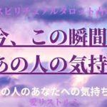 [スピリチュアルタロット占い]🔮2️⃣0️⃣2️⃣3️⃣今、この瞬間のあの人の気持ち🏂️🐰🌴（あの人のあなたへの気持ち🐢🐨アドバイスもあるよ❗️）