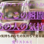 [スピリチュアルタロット占い]🔮2️⃣0️⃣2️⃣3️⃣今、この瞬間のあの人の気持ち✈️💒（あの人の気持ちとあなたの気持ちの温度差🏃💎）