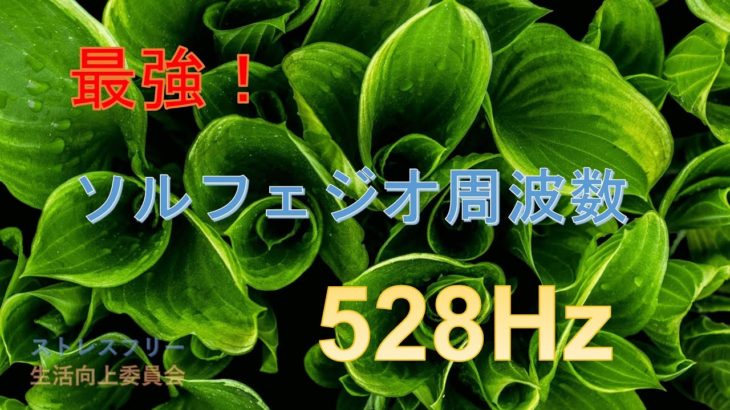 【528Hzカノン/睡眠/癒し】DNA修復 細胞修復 最強ソルフェジオ周波数 疲労回復 ストレス緩和 眠れない夜に 1時間　（旧BlueNile’s Relaxation）